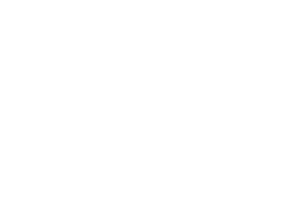 Vetriken Logo